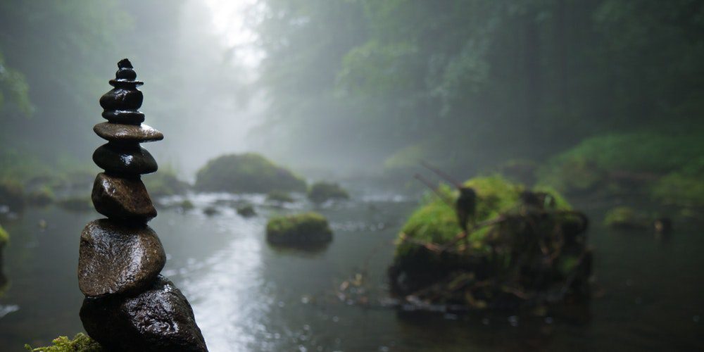 fog-foggy-forest-158607